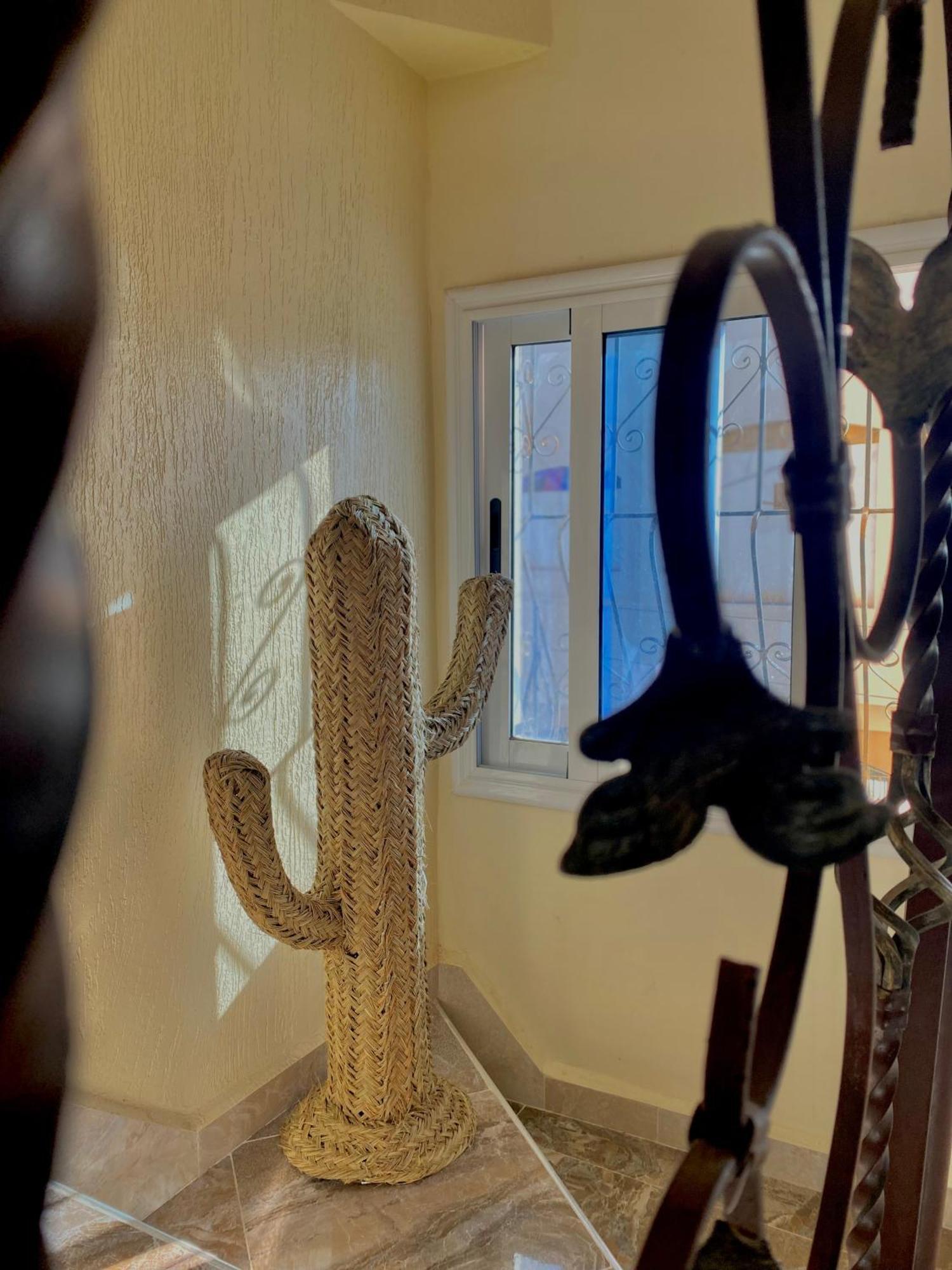 Hostel Mamo Surf Morocco Tamraght Zewnętrze zdjęcie